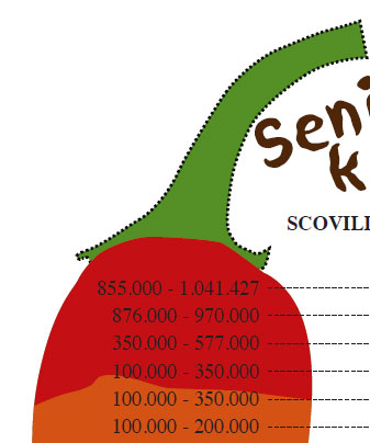 meyve ve sebzelerin sağlığımıza etkileri