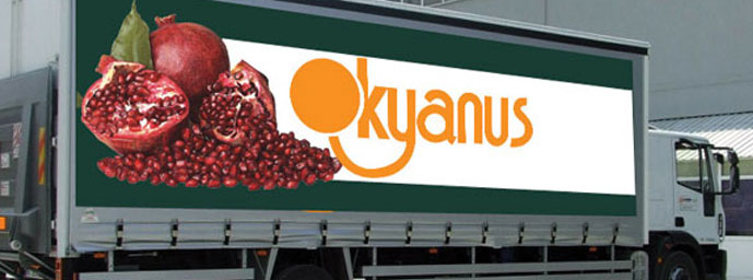 Okyanus Sebze - Meyve, ithalat, ihracat, import vegetables and fruits, import vegetables and fruits