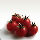 cherry domates