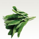 Sage tea