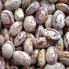 Shell beans