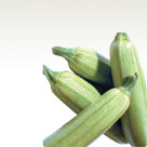 White squash
