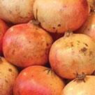White Pomegranate