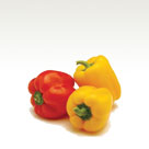 Paprika