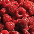 Blackberry