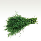 Dill