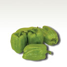 Sweet pepper