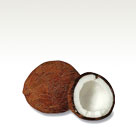 Coconut