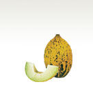 Melon