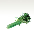 Celery