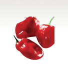 Chili pepper