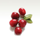 Cranberry