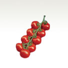 Cocktail tomato