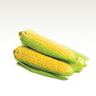 Corn