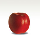Nectarine