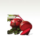 Beet