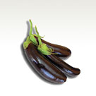 Eggplant
