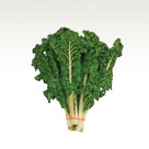 Chard