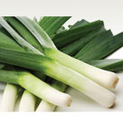 Leek