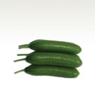Cucumber