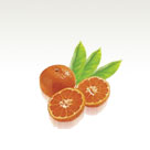 Satsuma Mandolin