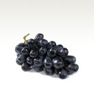Black Grape