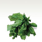 Cress