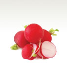 Turnip