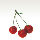 Sour cherry